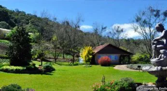 Dicas de passeios em Gramado: Le Jardin – Parque de Lavandas